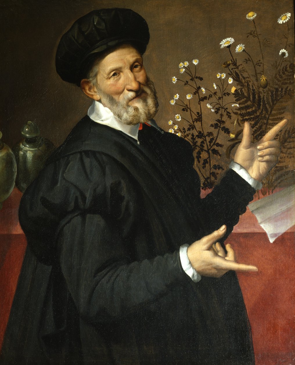 Kasvitieteilijä, 1570 tekijältä Bartolomeo Passarotti
