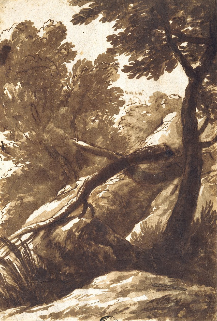 Metsäinen maisema tekijältä Bartolomeo Torregiani
