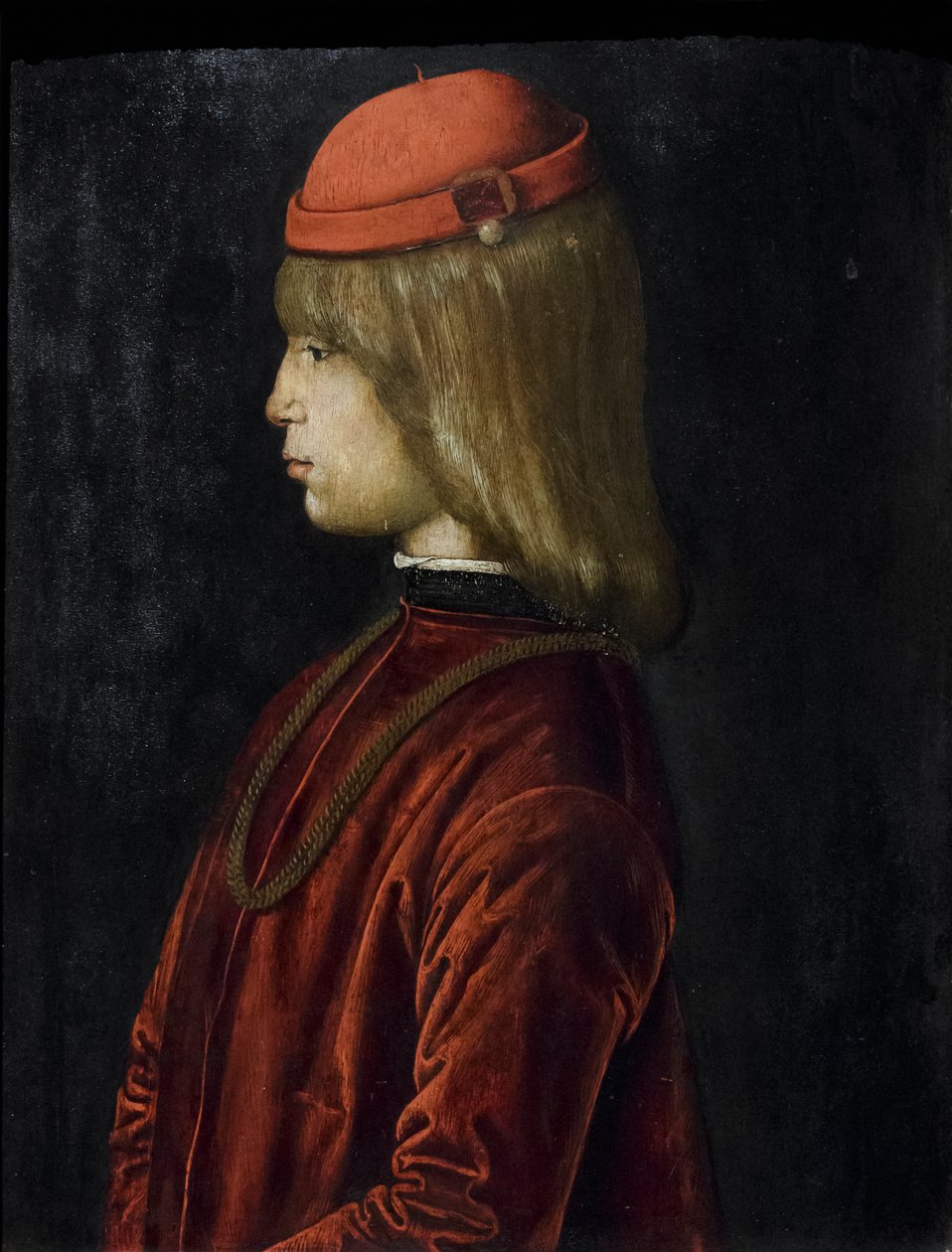 Muotokuva Guidubaldo da Montefeltrosta, noin 1480-81 (öljy paneelille). tekijältä Bartolomeo (attr. to) Della Gatta