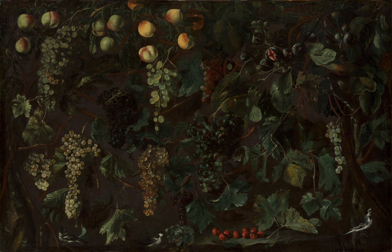 Viiniköynnökset ja hedelmät, kolme wagtailiä, n. 1615-18. tekijältä Bartolomeo Cavarozzi