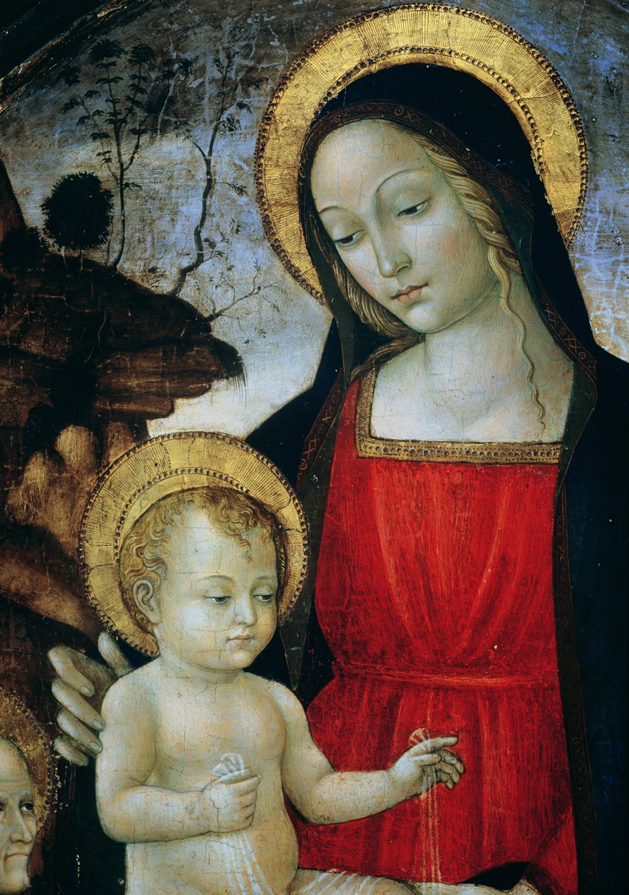 Madonna ja lapsi (yksityiskohta) tekijältä Bartolomeo Montagna