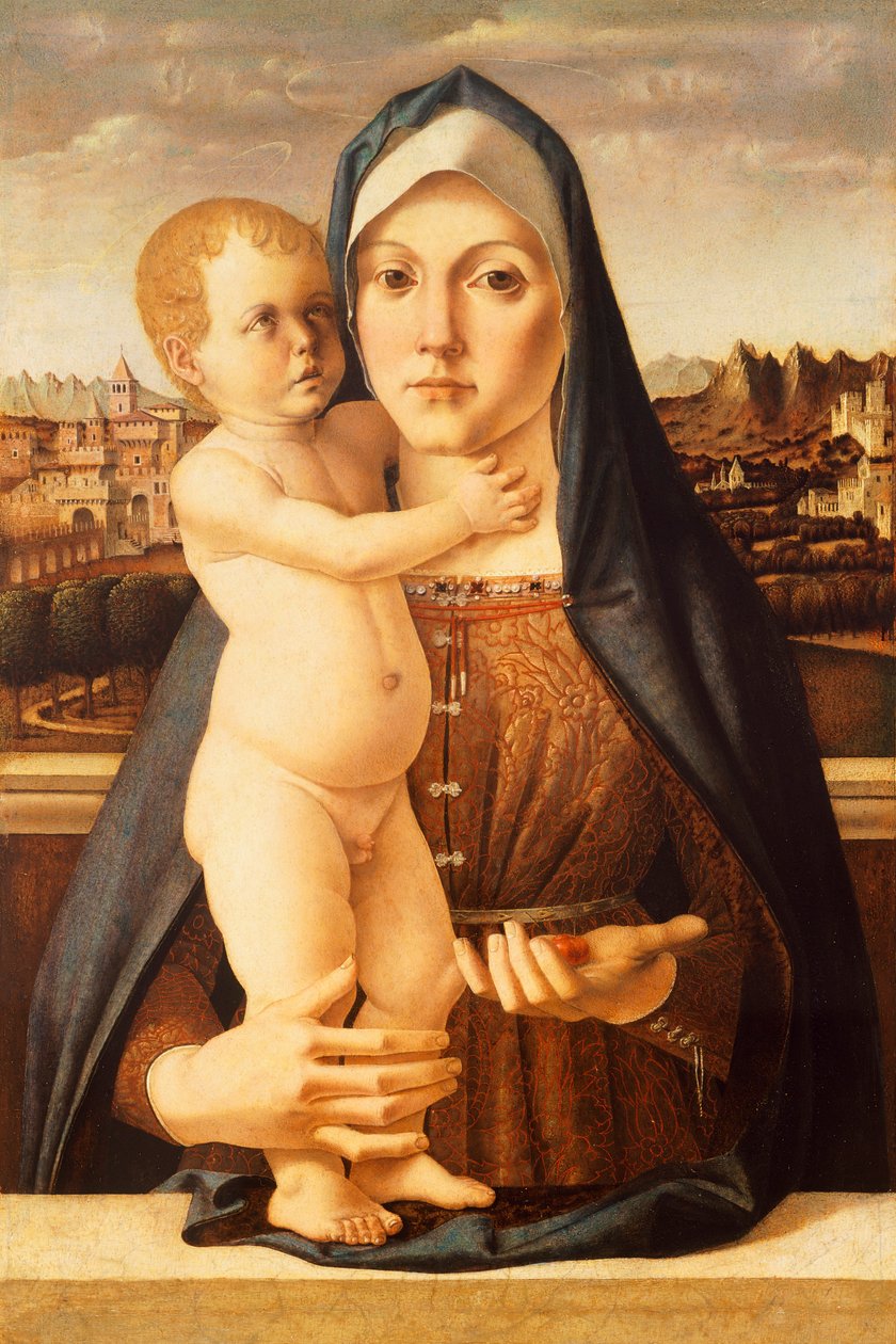 Madonna ja lapsi, Bartolomeo Montagna (n. 1450-1523), 60x42 cm tekijältä Bartolomeo Montagna