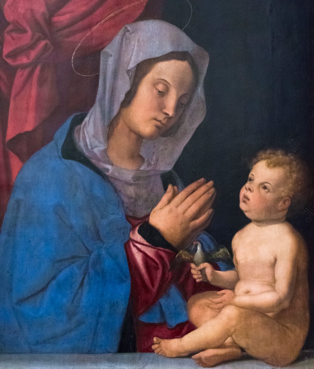 Madonna ja lapsi, n.1503 (öljy puulevylle) tekijältä Bartolomeo Montagna