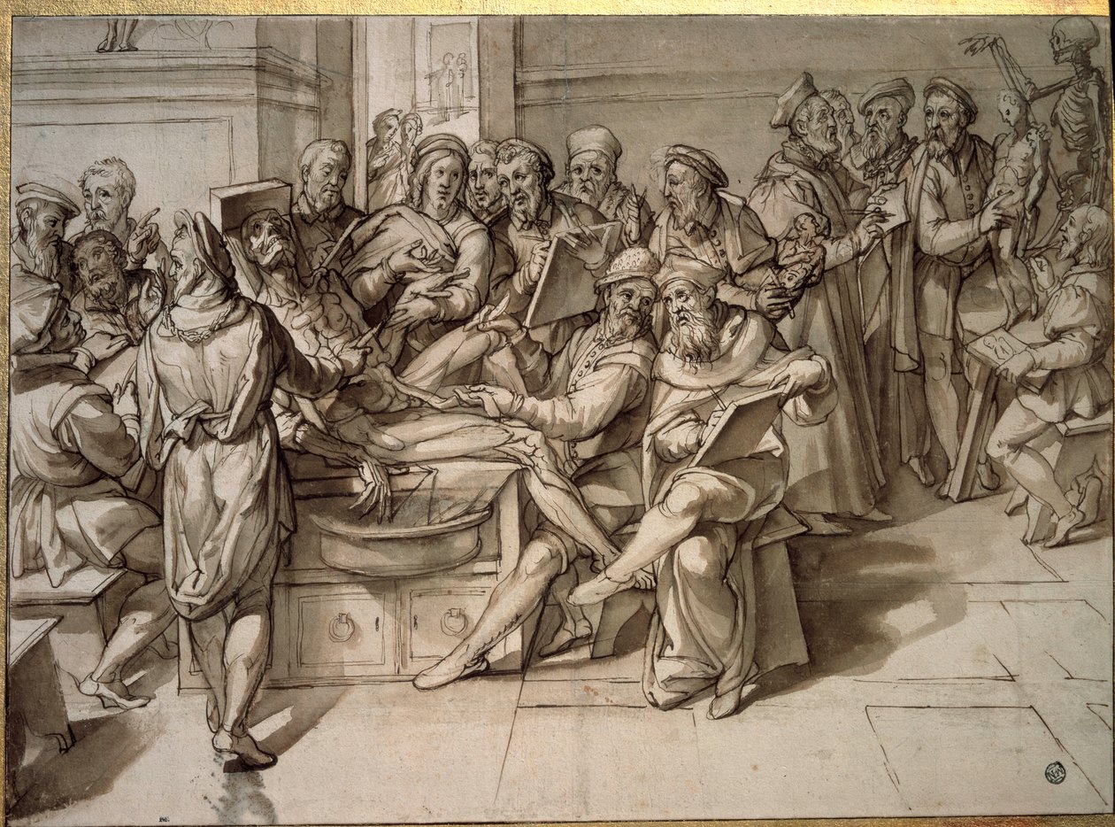 Anatomian luento: Michelangelo Buonarroti dit Michelangelo (Michelangelo tai Michel Ange tekijältä Bartolomeo Passarotti