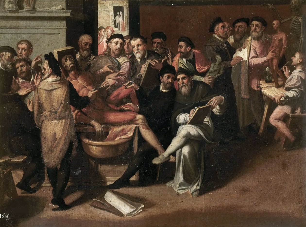 Passerotin, Bartolomeon (1529-1592) anatomiatunti. Öljy kankaalle. Galleria Borghese, Rooma tekijältä Bartolommeo Passerotti