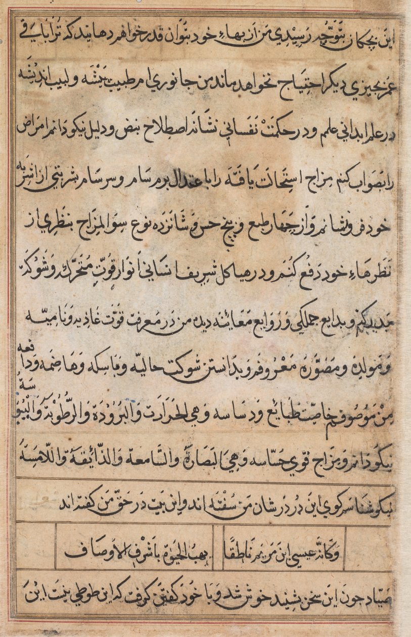 Sivu julkaisusta Tales of a Parrot Tuti-nama: tekstisivu, n. 1560. tekijältä Basavana