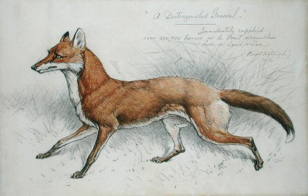 "Arvostettu kenraali tekijältä Basil J. Nightingale