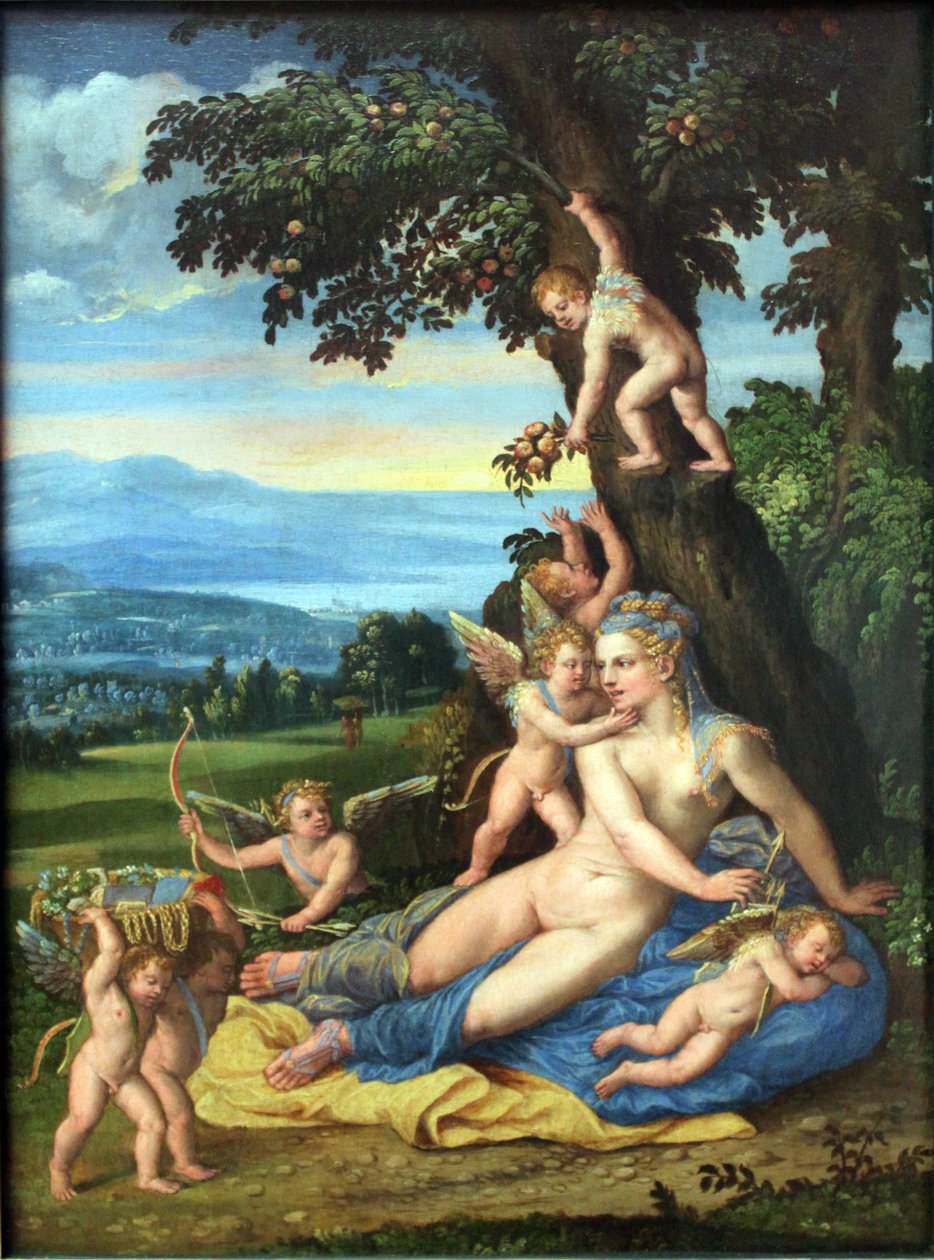 Venus ja Amor tekijältä Battista Dossi