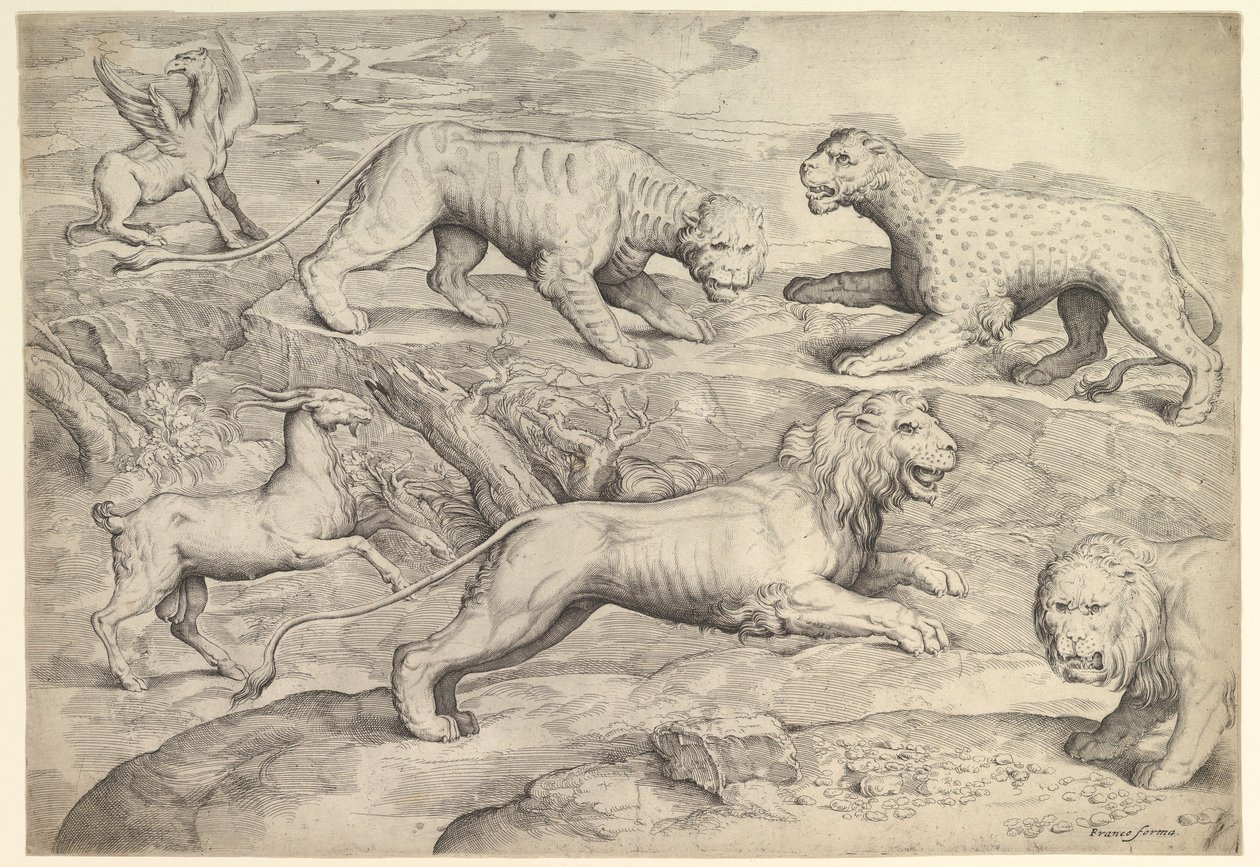 Kuusi eläintä, mukaan lukien leijonat, tiikeri, leopardi, griffin ja vuohi, n. 1530-61. tekijältä Battista Franco Veneziano
