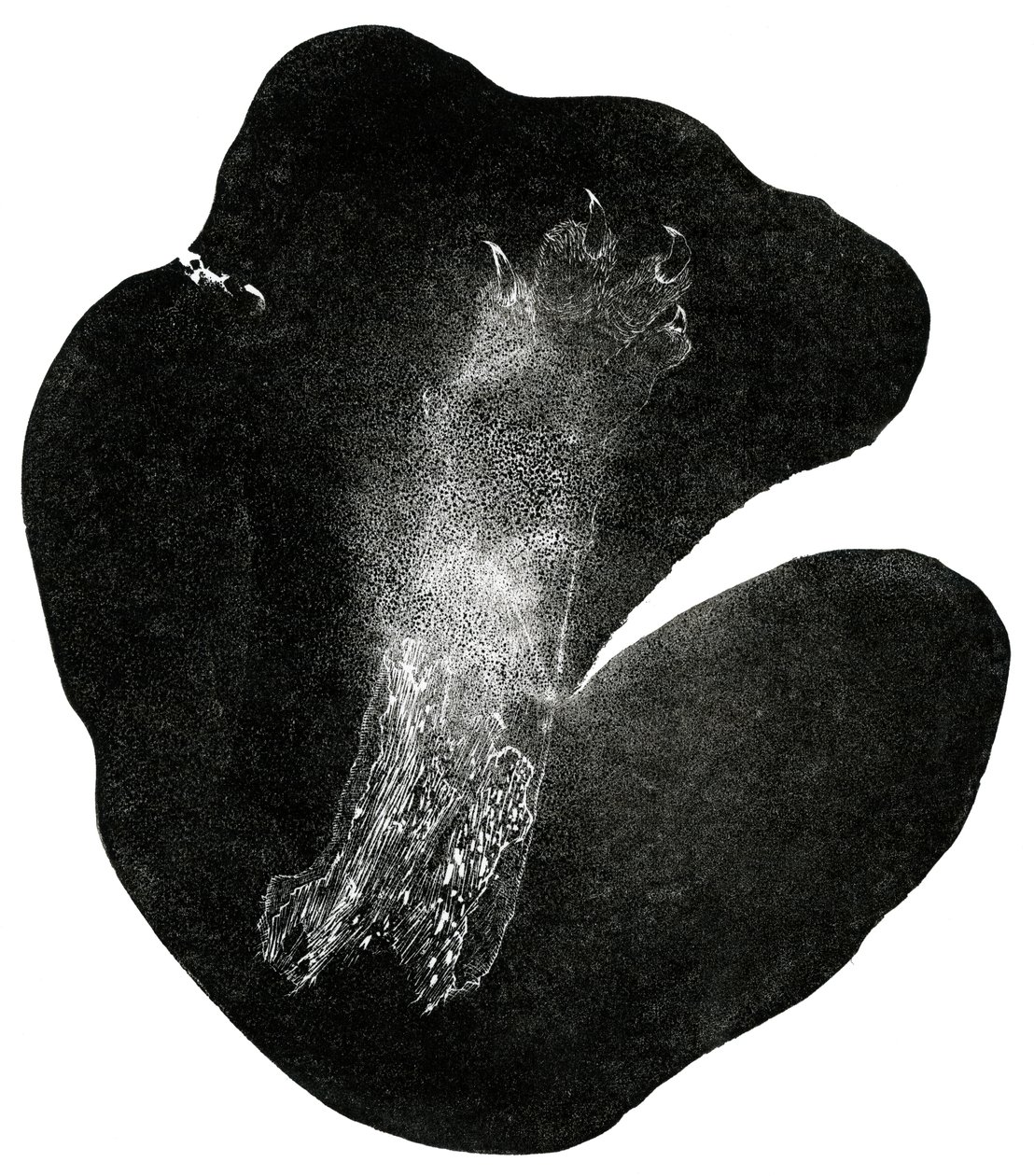 Clawfoot, 2014 (puukaiverrus paperille) tekijältä Bella Larsson