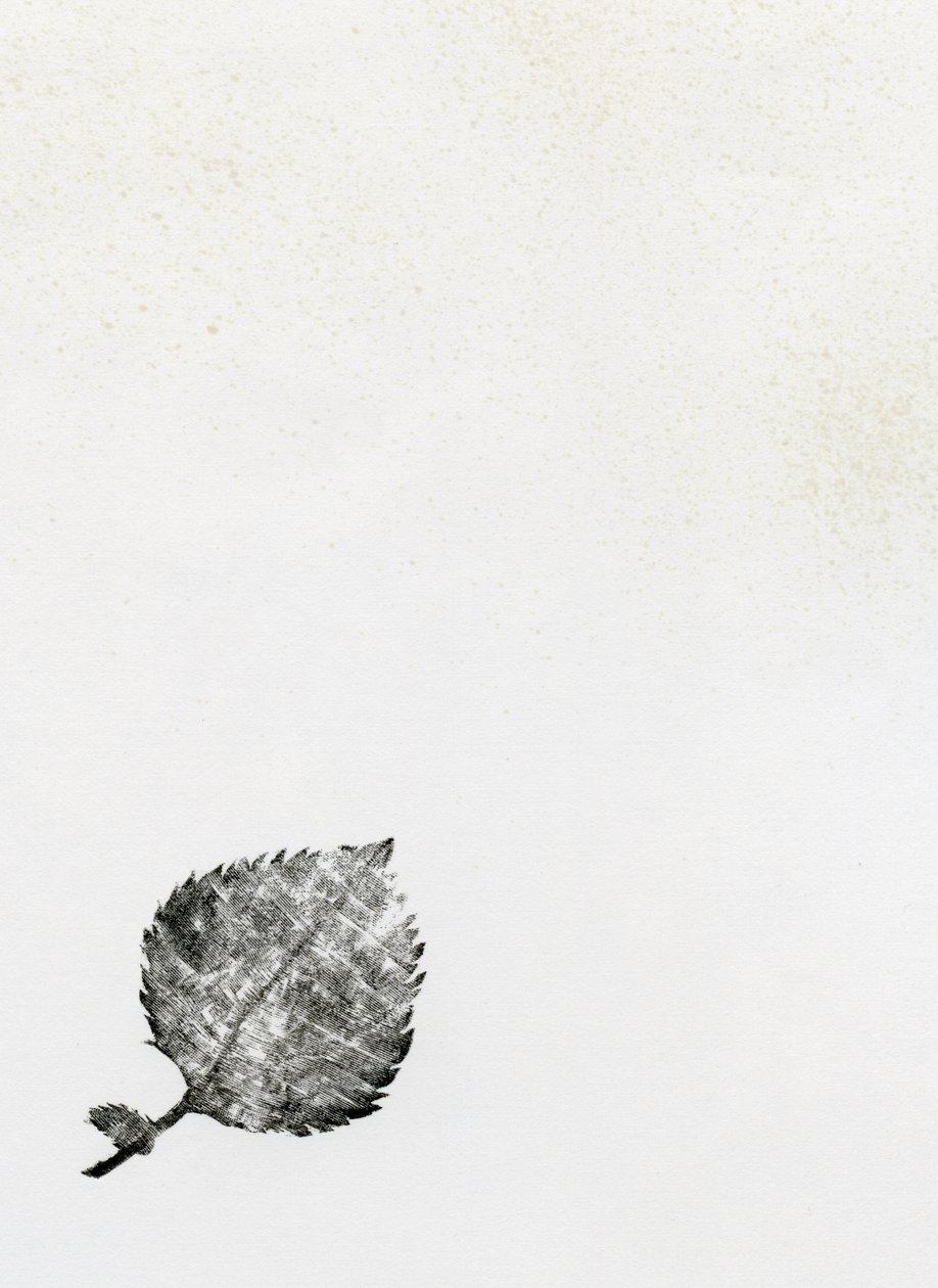 Lehti {Fay-erie Dust}, 2014 (puukaiverrus ja muste paperille) tekijältä Bella Larsson