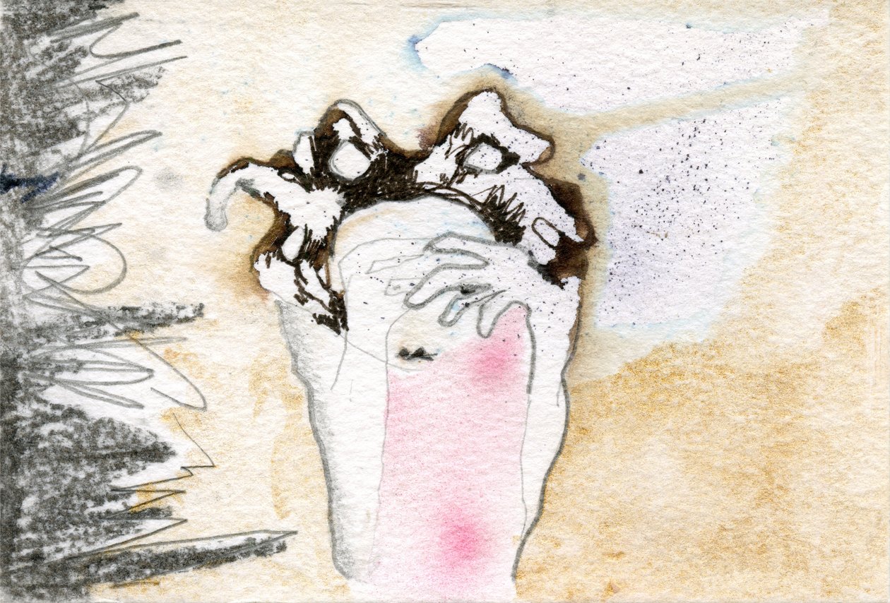 Peek-a-boo, 2000 tekijältä Bella Larsson