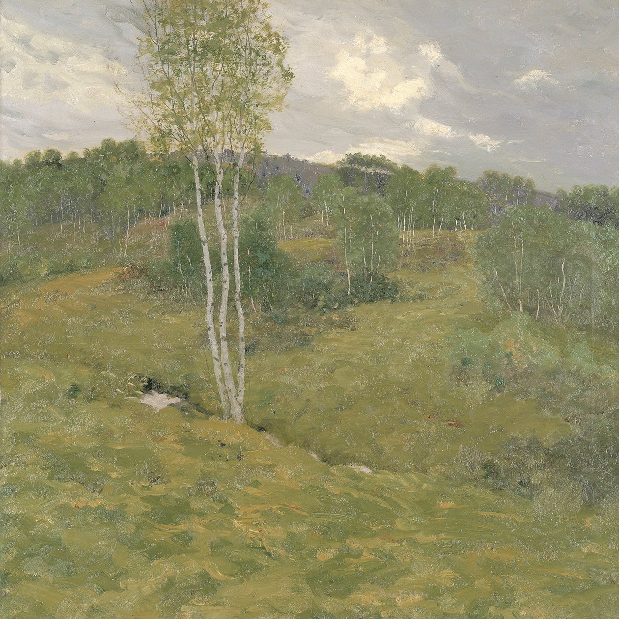 Birch-Clad Hills, n. 1908. tekijältä Ben Foster