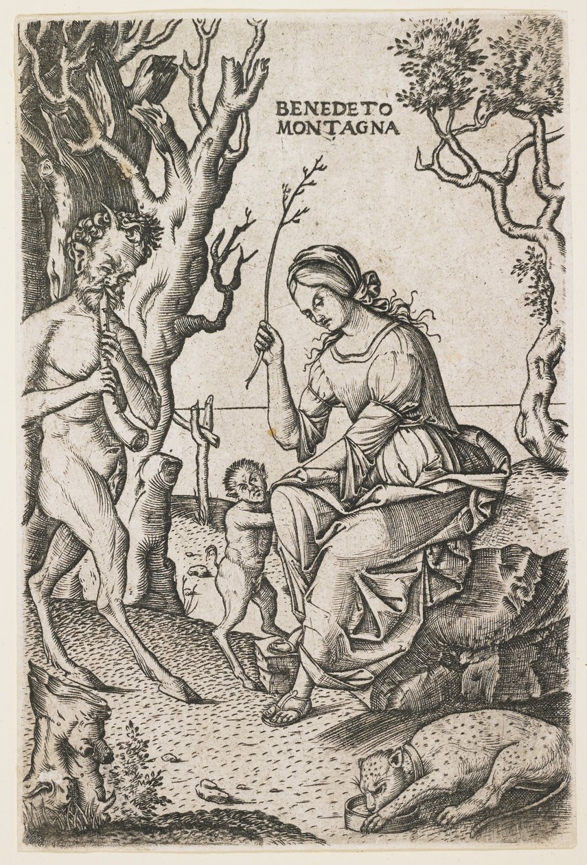 Satyrs Family, n. 1520 tekijältä Benedetto Montagna