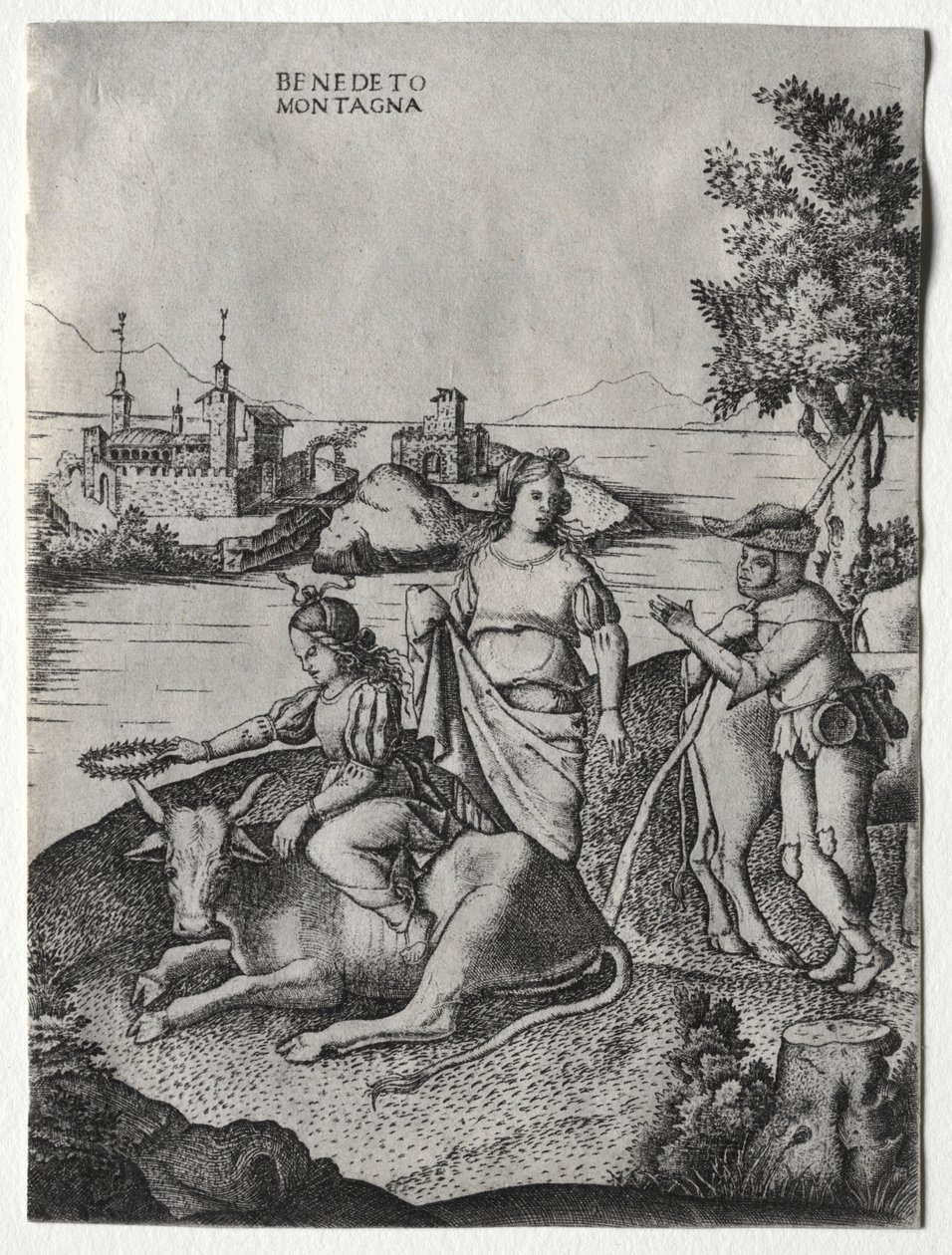 Europan raiskaus, c. 1515-1520. tekijältä Benedetto Montagna