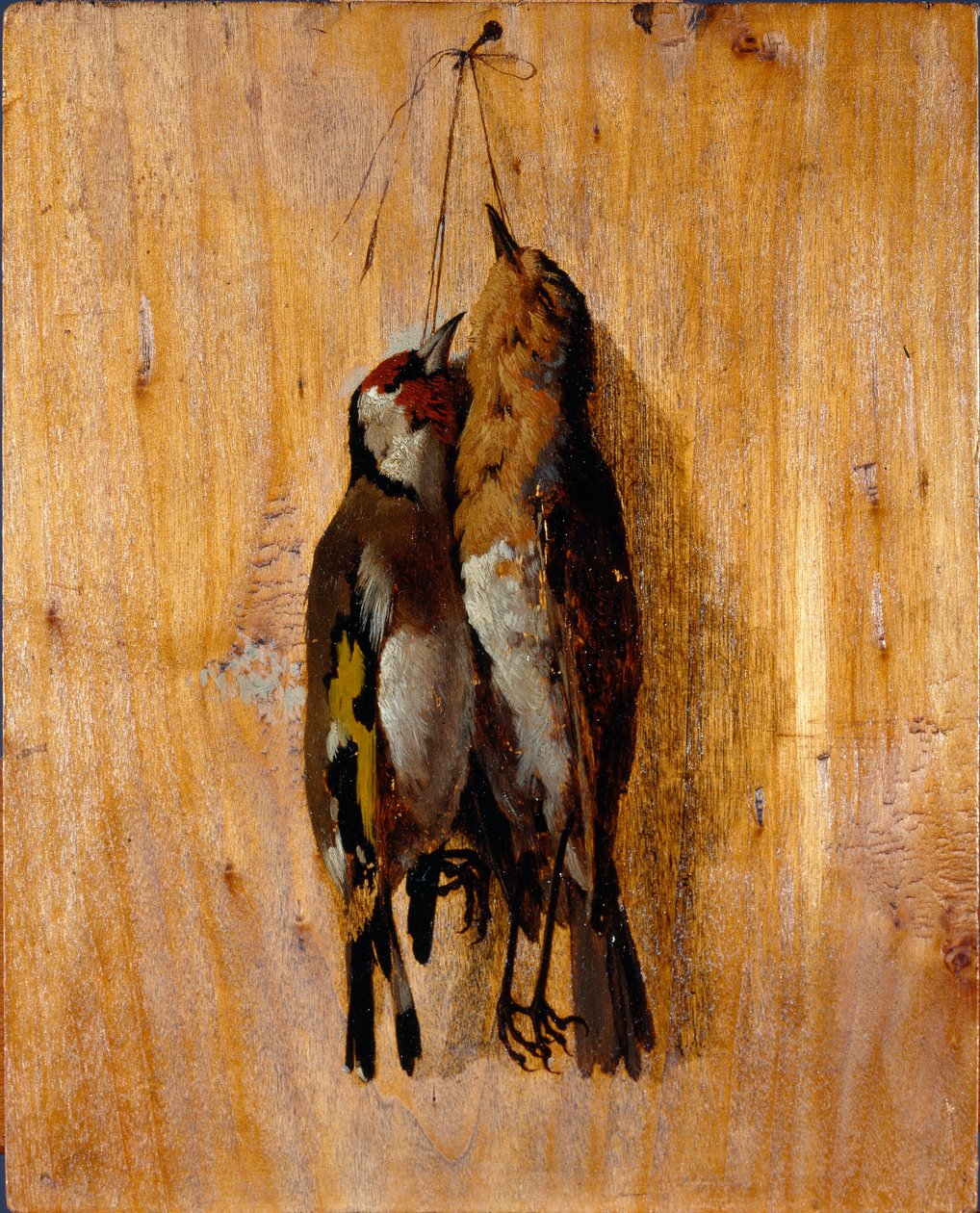 Luonnonjälkeinen tutkimus Kaksi kuollutta lintuneulaa seinällä. Benedetto Musson (1835-1883) maalaus 1864 noin su. 20,5x16,5 cm geenit, Galleria d