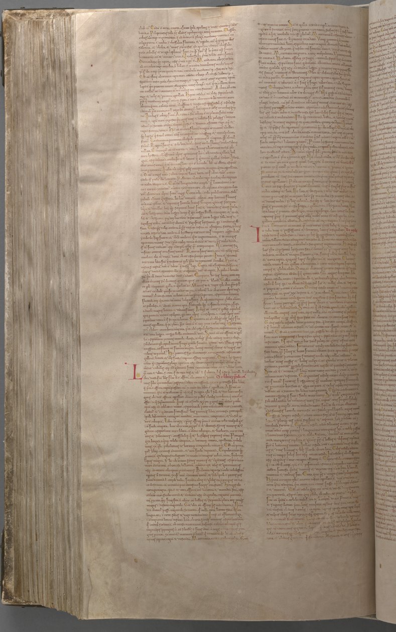 Codex Gigas tekijältä Benedictine monastery of Podlažice