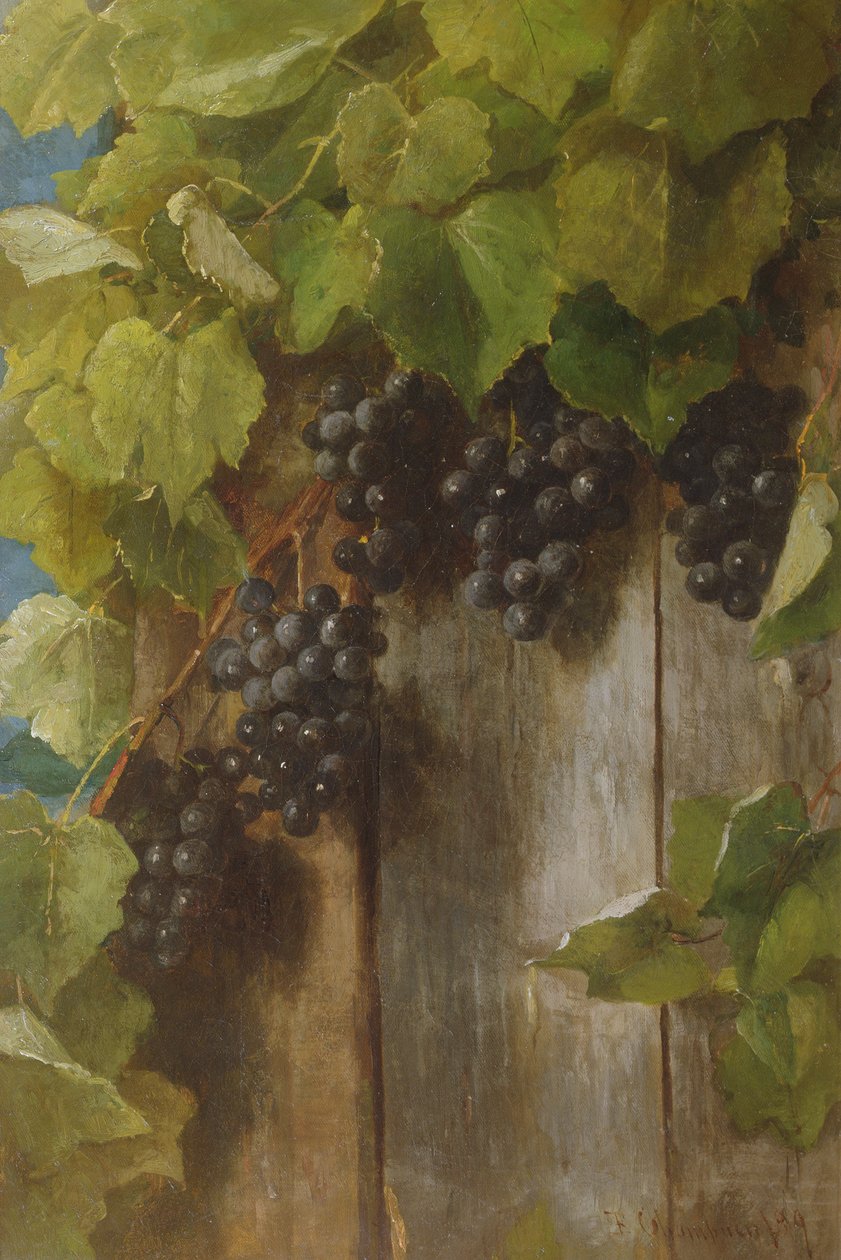 Hedelmäköynnös, 1889 tekijältä Benjamin Champney