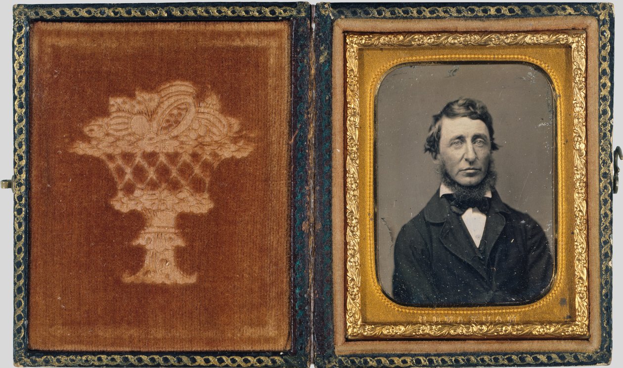 Henry David Thoreau tekijältä Benjamin D. Maxham