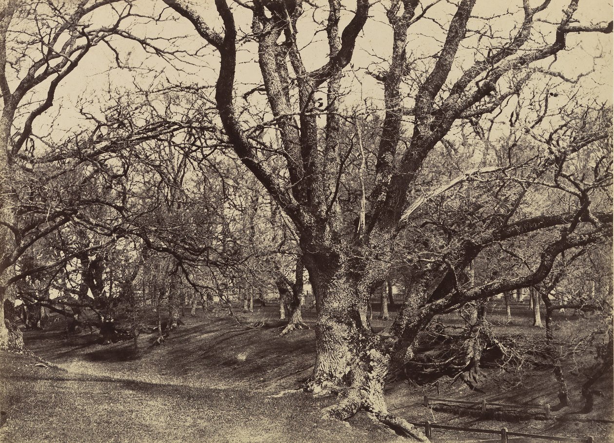 Pepperharrow Park, Surrey, 1852-54. tekijältä Benjamin Brecknell Turner