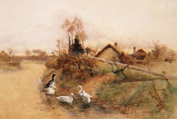 Dabbling Ducks tekijältä Benjamin D. Sigmund