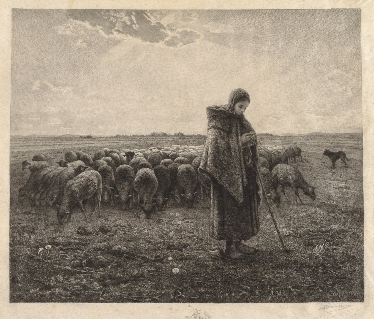 Lammastarha tekijältä Benjamin Louis Auguste Damman