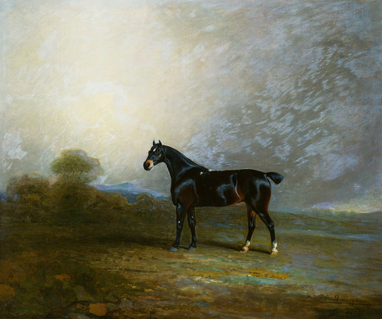 Bembo, Charles Shuttleworthin suosikkimetsästäjä, Esq., 1802 tekijältä Benjamin Marshall