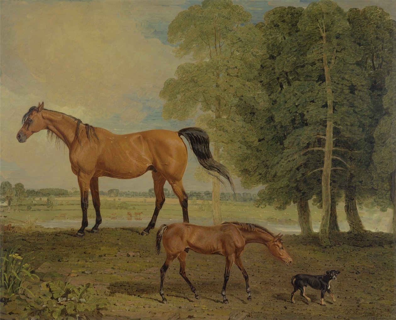 Broodmare varsan ja terrierin kanssa (öljy kankaalle) tekijältä Benjamin Marshall