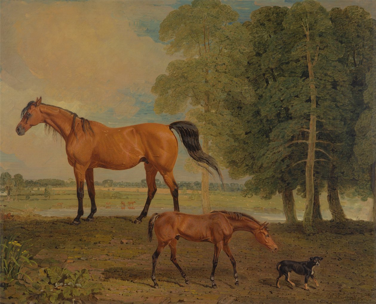 Broodmare, varsa ja terrieri tekijältä Benjamin Marshall