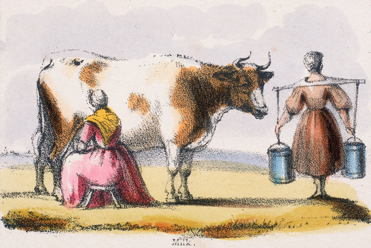 Maito, c1845 tekijältä Benjamin Waterhouse Hawkins