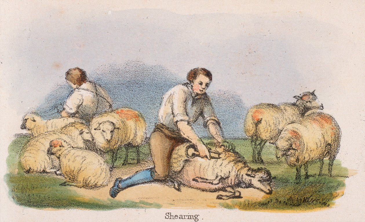 "Leikkaus", c1845 tekijältä Benjamin Waterhouse Hawkins