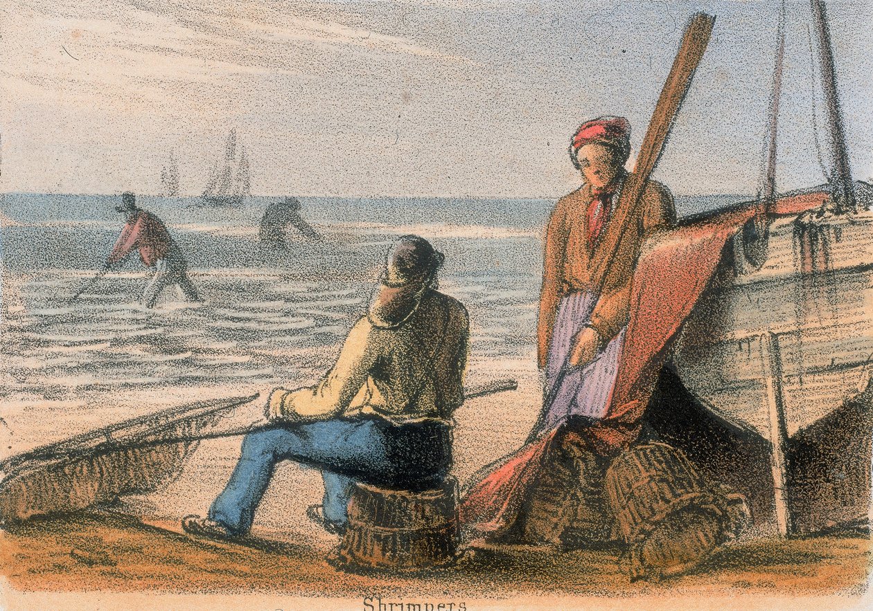 Katkaravut, c1845 tekijältä Benjamin Waterhouse Hawkins