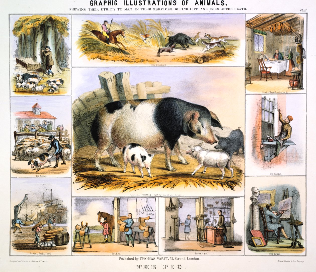 Possu, c1850 tekijältä Benjamin Waterhouse Hawkins