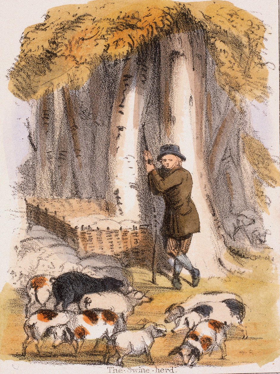 Sikalauma, 1845 tekijältä Benjamin Waterhouse Hawkins