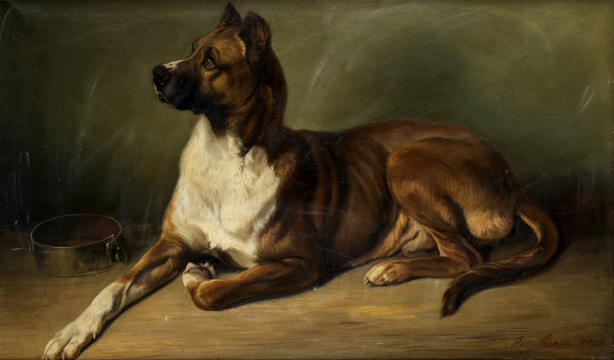 Benno Adam Koiran muotokuva 1852 tekijältä Benno Adam