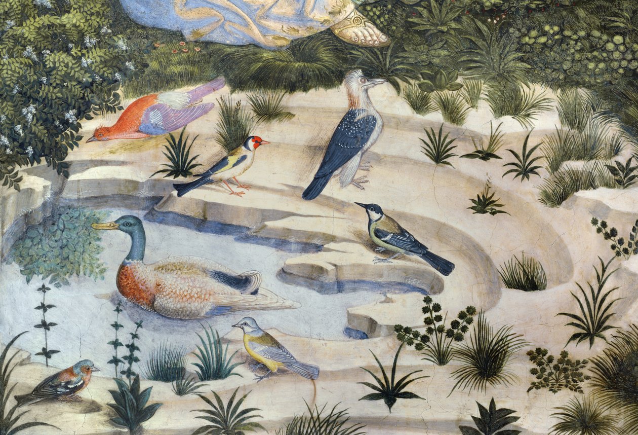 Linnut lammen ympärillä, yksityiskohta Journey of the Magi -syklistä kappelissa, n. 1460 freskon yksityiskohta 70610 tekijältä Benozzo di Lese di Sandro Gozzoli