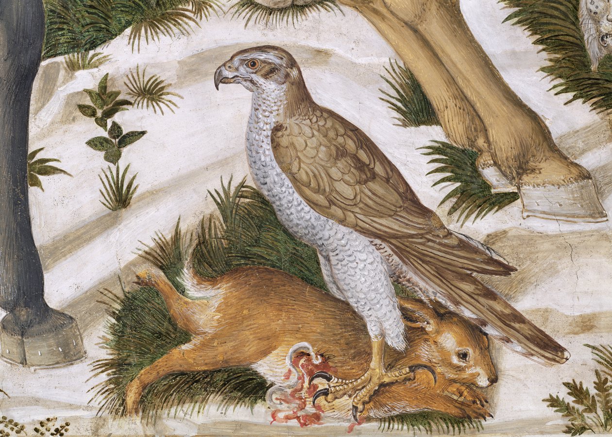 Haukka ja vangittu jänis, yksityiskohta kappelin maagisten matkasta, n.1460, fresko 70601:n yksityiskohta tekijältä Benozzo di Lese di Sandro Gozzoli