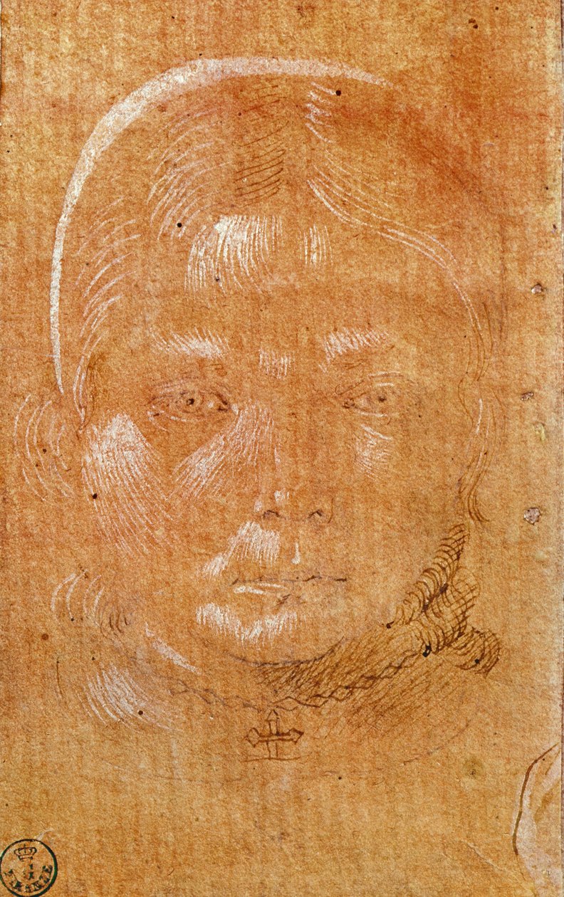 Nuoren tytön pää (liitu ja muste paperille) tekijältä Benozzo di Lese di Sandro Gozzoli