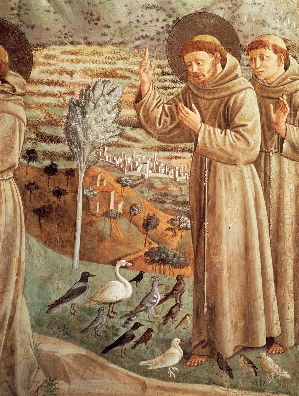 Tarinoita Pyhän Franciscuksen elämästä, saarnaamista linnuille (1452), Benozzo Gozzolin (1421-1497) freskosarja, apsidaalinen tribüüni, Pyhän Franciscuksen kirkko, Montefalco, Umbria, Italia tekijältä Benozzo di Lese di Sandro Gozzoli
