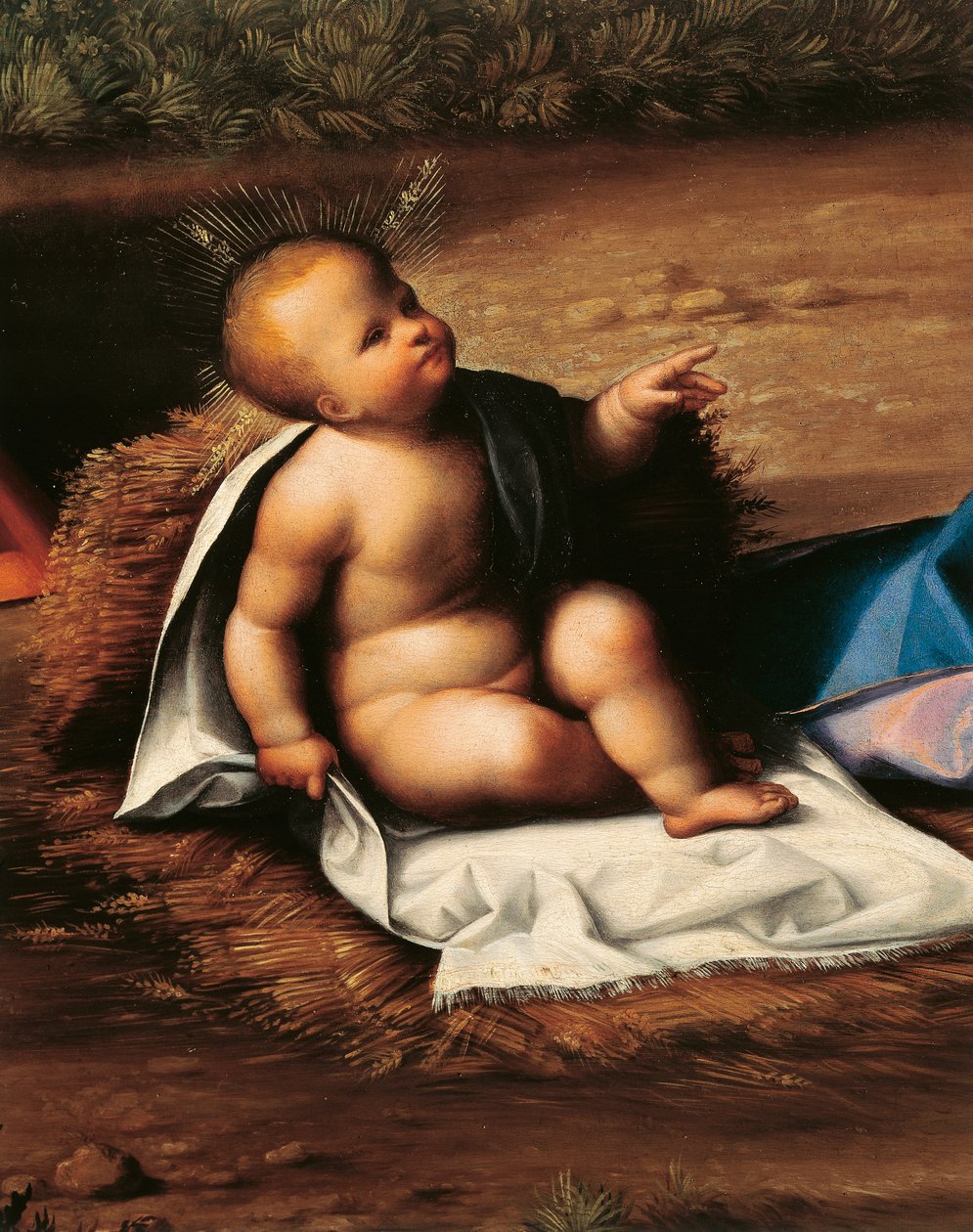 Jeesus-lapsi, yksityiskohta Garofalon syntymästä (1481-1559) tekijältä Benvenuto Tisi da Garofalo