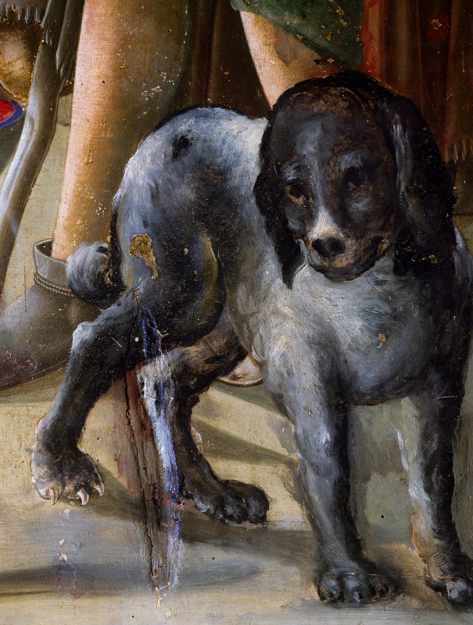 Koira, yksityiskohta Jeesuksen syntymästä, n. 1470, maalaus Benvenuto di Giovanni, tempera taulussa tekijältä Benvenuto di Giovanni
