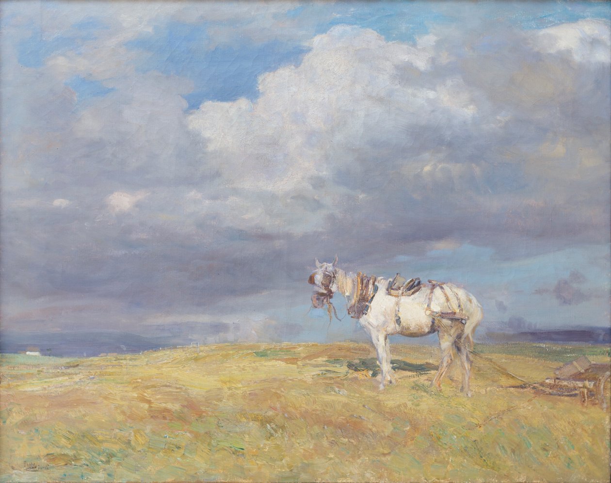 Valkoinen hevonen, noin 1910 (öljy kankaalle) tekijältä Beppe Ciardi