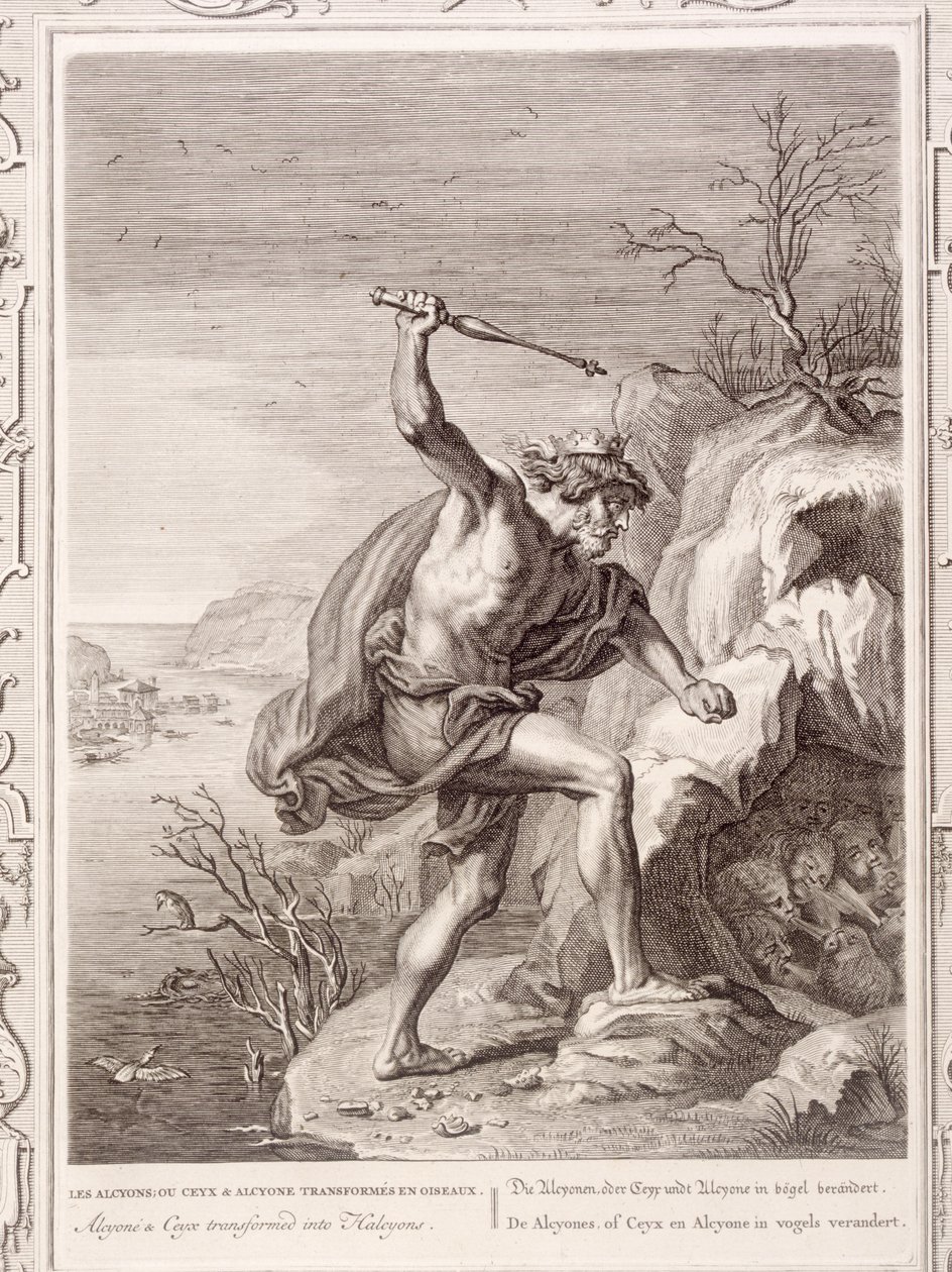 Alcyone ja Ceux muuttuvat linnuiksi, 1730 tekijältä Bernard Picart
