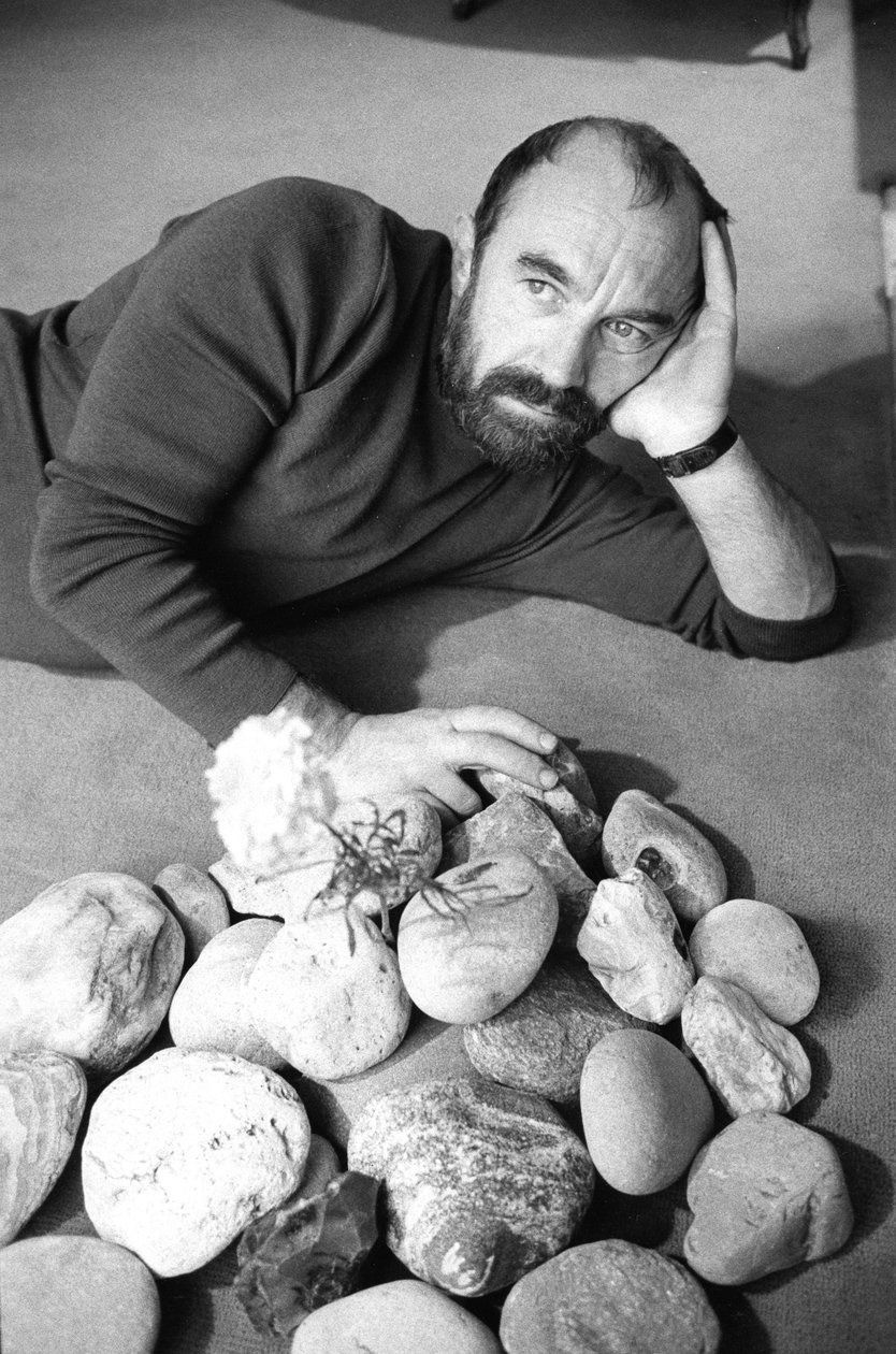 Bernard PARMEGIANI tekijältä Bernard Perrine