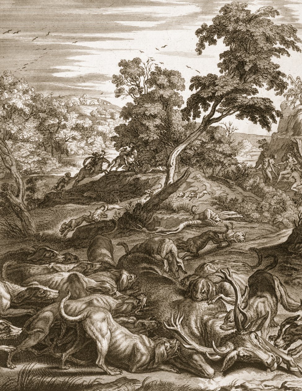 Aktaeon muuttuu hirveksi ja joutuu koiriensa syömäksi, 1731. tekijältä Bernard Picart