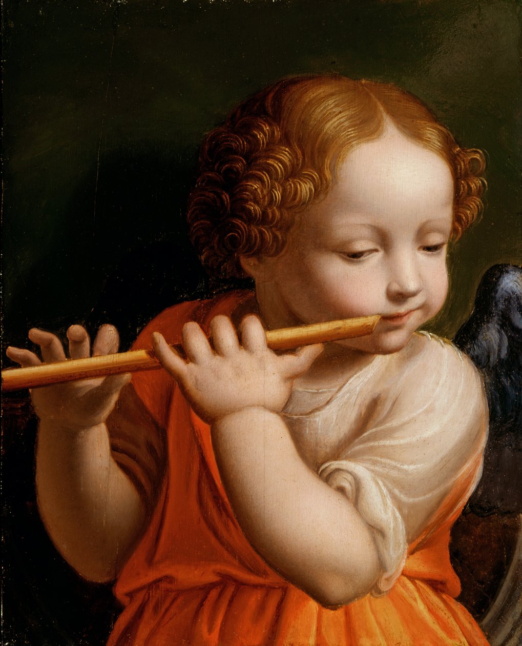 Lapsienkeli soittamassa huilua, n. 1500 tekijältä Bernardino Luini