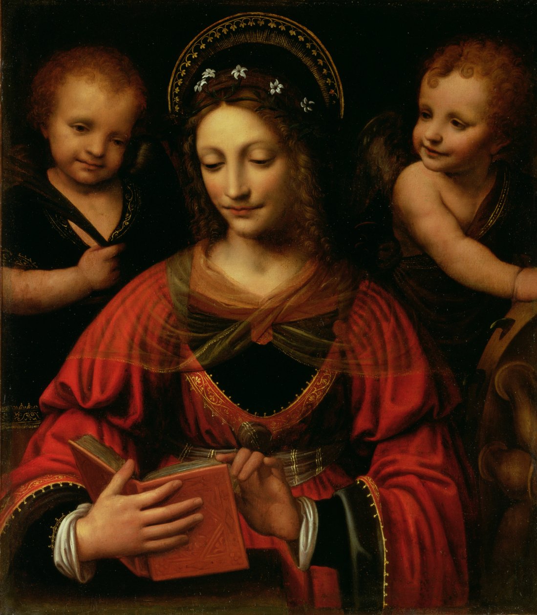 St. Catherine, 1527-31 (öljy kankaalle siirretty paneelista) tekijältä Bernardino Luini