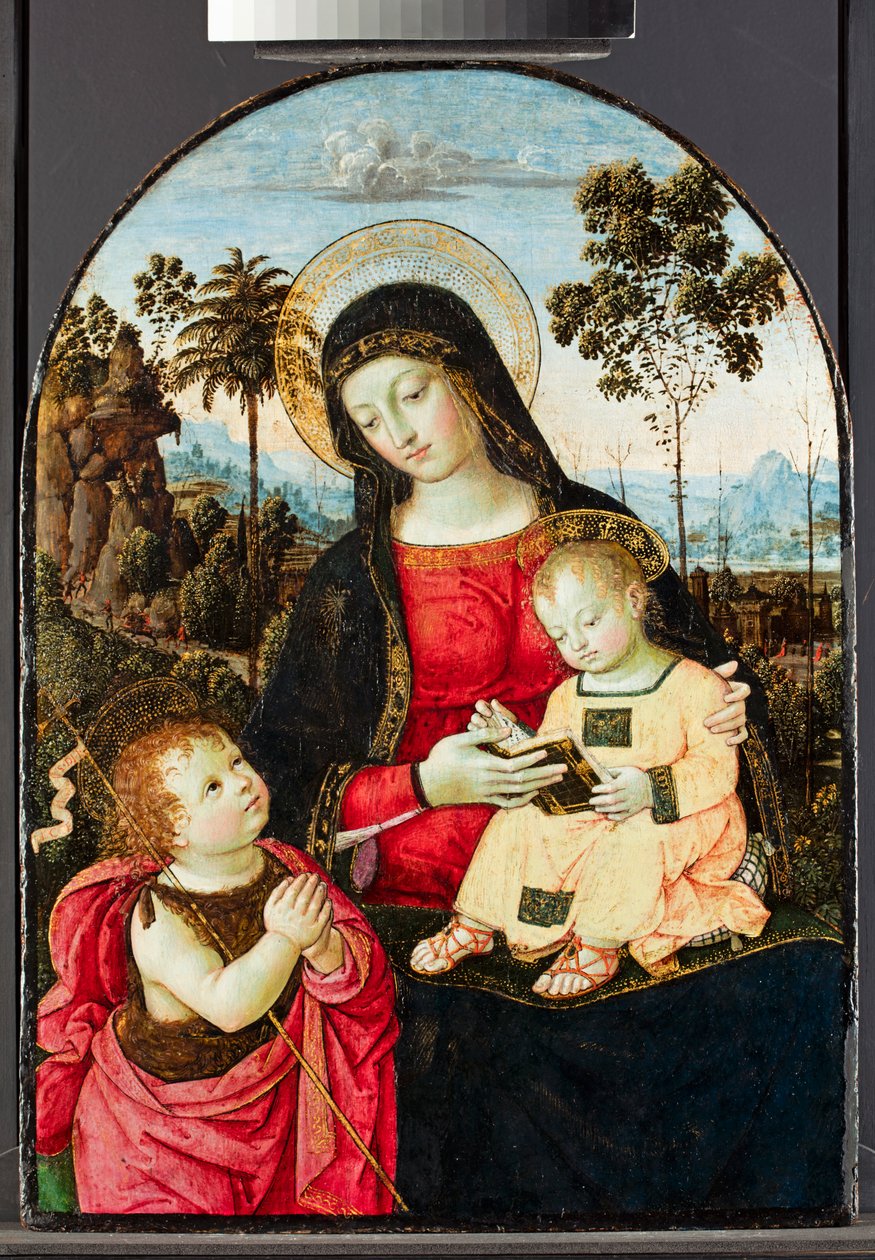 Neitsyt ja lapsi Pyhän Johannes Kastajan kanssa, 1490-1495 (tempera, öljyä ja lasitteita ja kultaa paneelissa) tekijältä Bernardino di Betto Pinturicchio