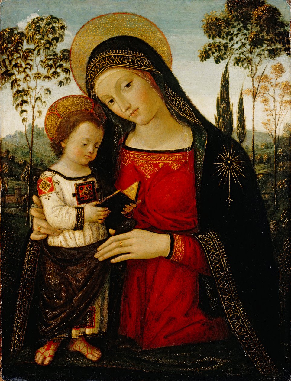 Madonna ja lapsi, n. 1490-1495 (tempera paneelissa) tekijältä Bernardino di Betto Pinturicchio