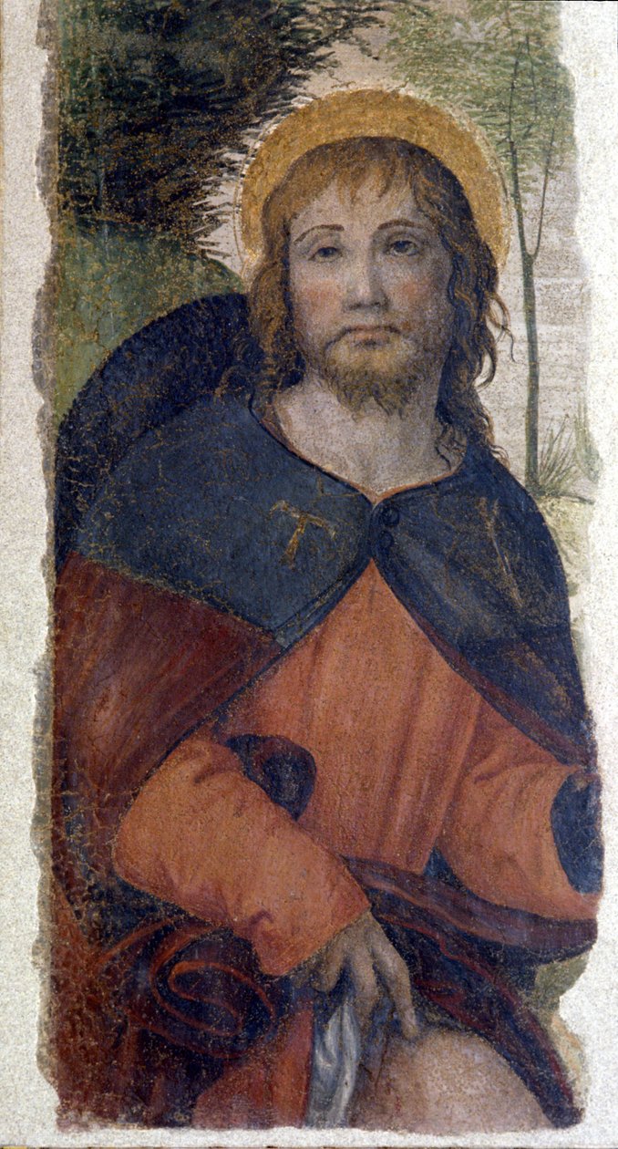 Saint Roccon (Roch) edustus. Fresko Bernardino de Scapisin koulusta, joka tunnetaan nimellä Bernardino Luini (1485-1532). 16. vuosisata tekijältä Bernardino (school of) Luini